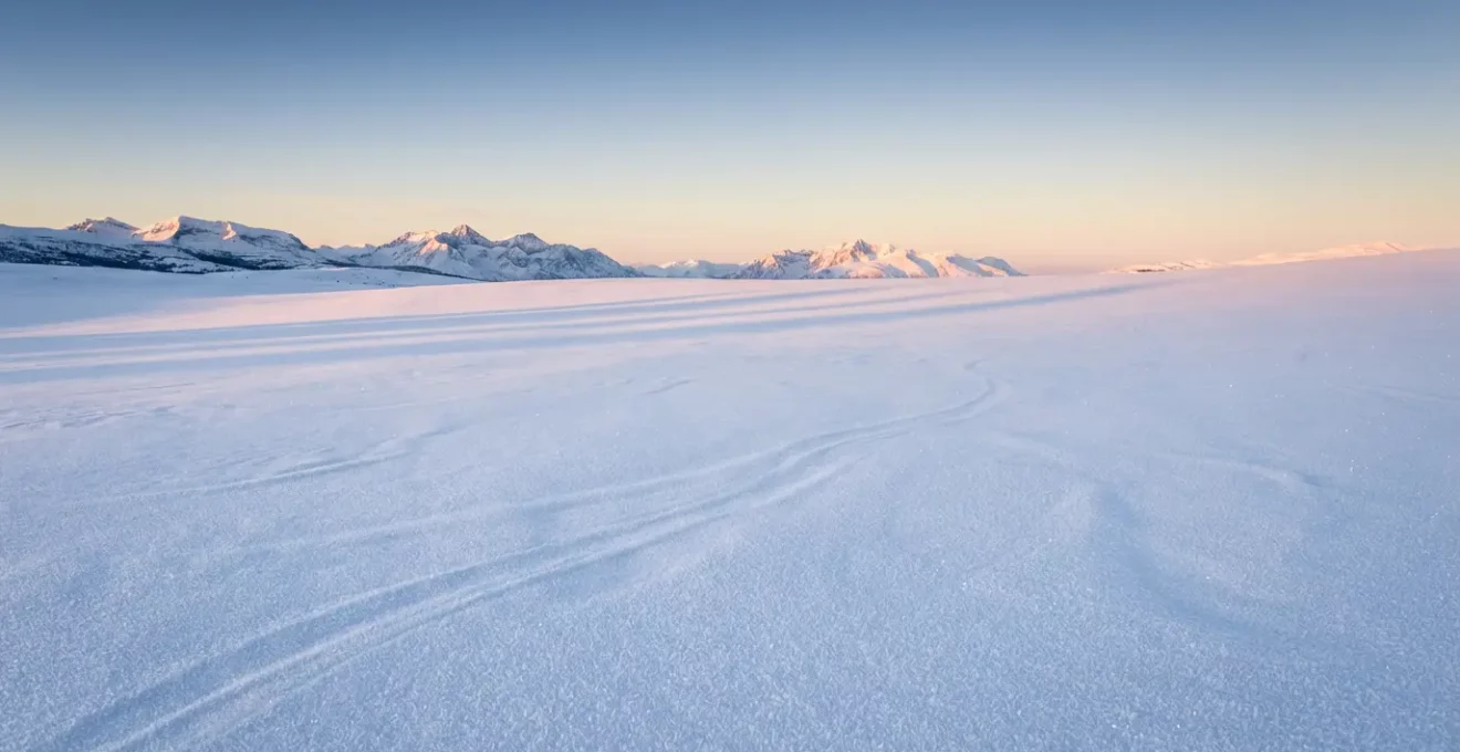 Étendue de neige immaculée au petit matin avec ombres douces des reliefs montagneux